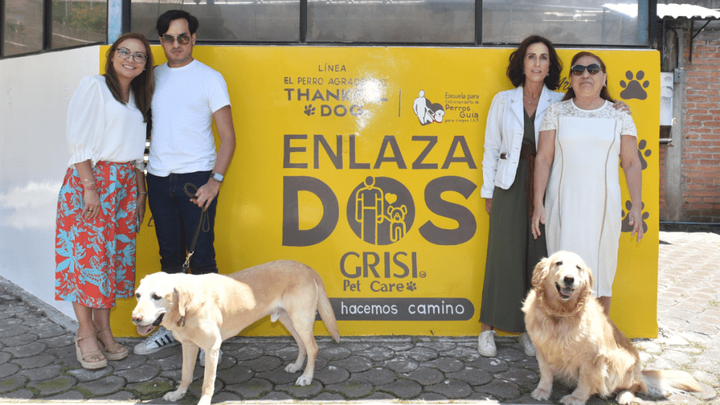 IdeasDeNegocios-Imagen-14 | Ideas de Negocios TV