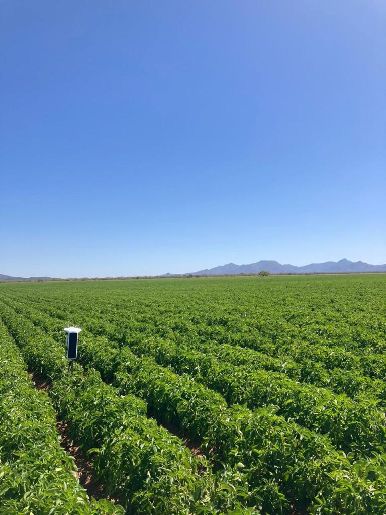 Aspecto 2 | Ideas de Negocios TV