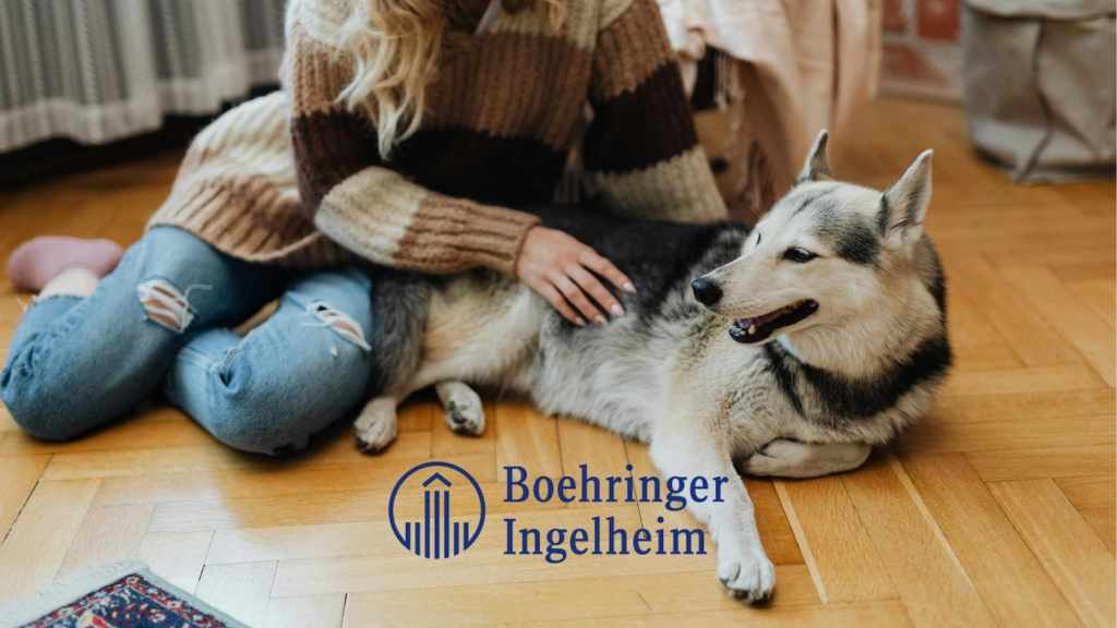 El mercado de mascotas impulsa el crecimiento de Boehringer Ingelheim en México | Ideas de Negocios TV El mercado de mascotas impulsa el crecimiento de Boehringer Ingelheim en México