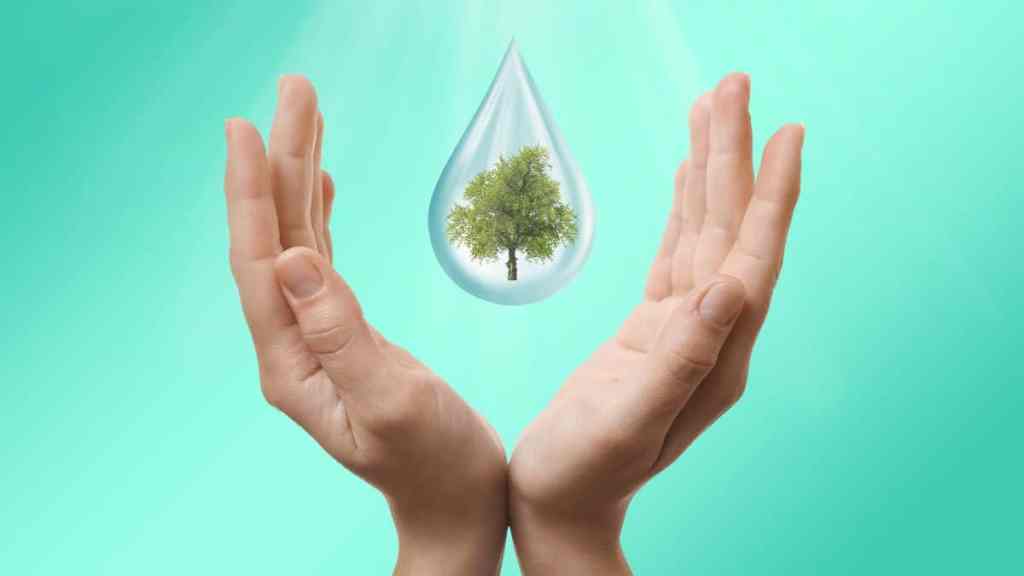 Bayer impulsa ahorro hídrico en campo mexicano